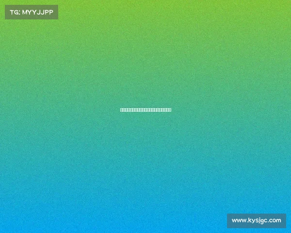 足球球员租借合同管理优化方案及实施策略分析