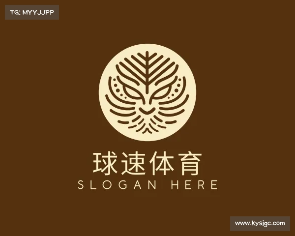 认识球速体育